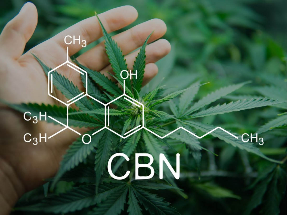 Что такое CBN? И чем он отличается от CBD?