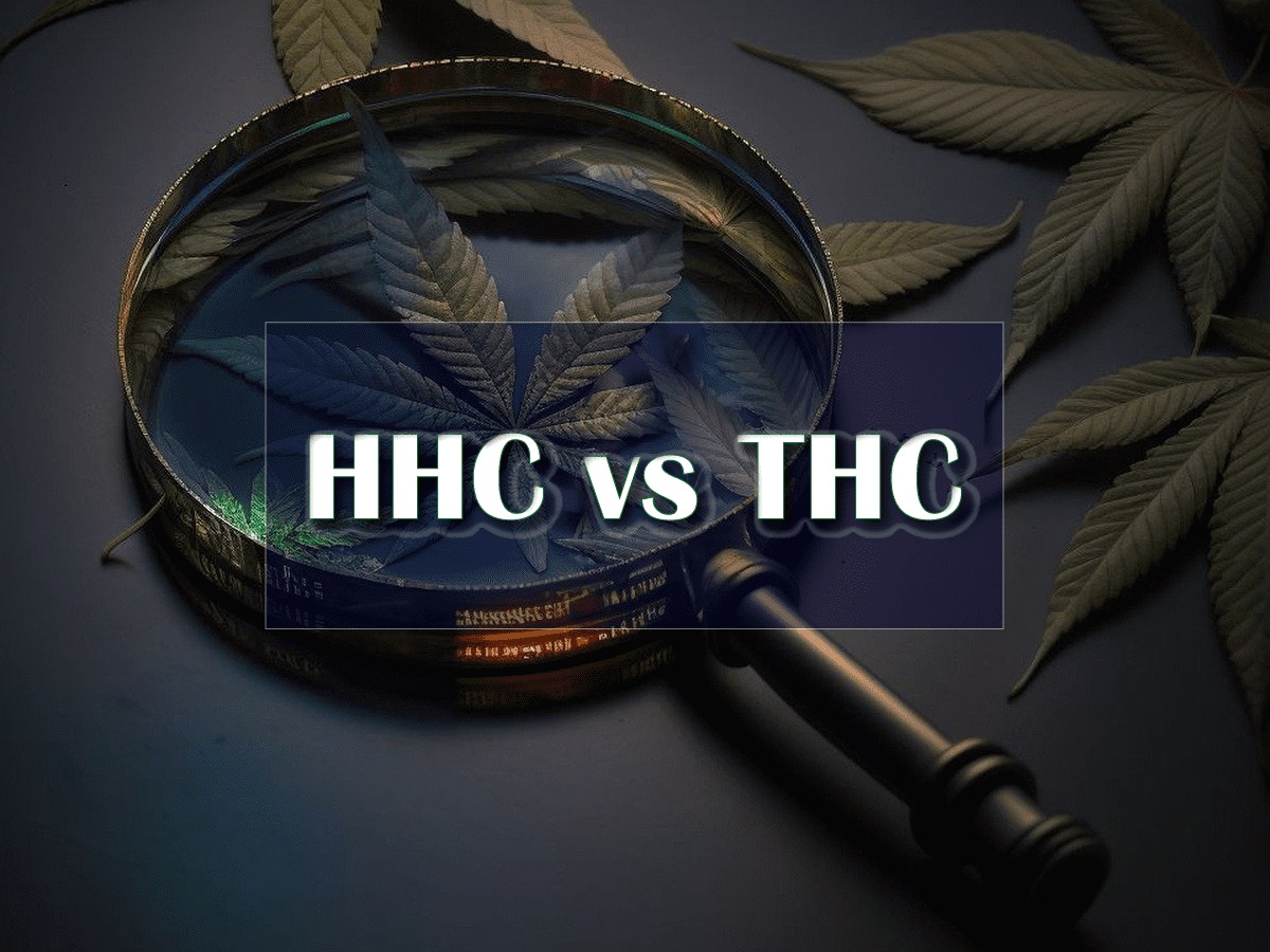 В чем разница между HHC и THC? Что лучше?