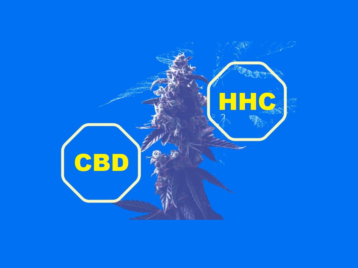 У чому відмінність між HHC і CBD? Що обрати?