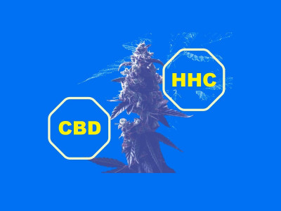 В чем отличие между HHC и CBD? Что выбрать?