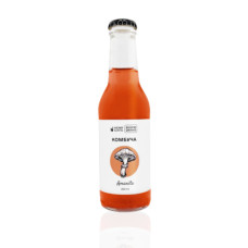 Комбуча Amanita з мухомором