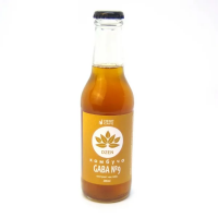 Комбуча GABA №9 DZEN со вкусом Пепси