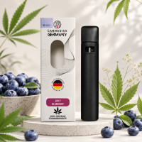 Вейп Hybrid Blueberry