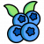 JUICY BLUEBERRY  
