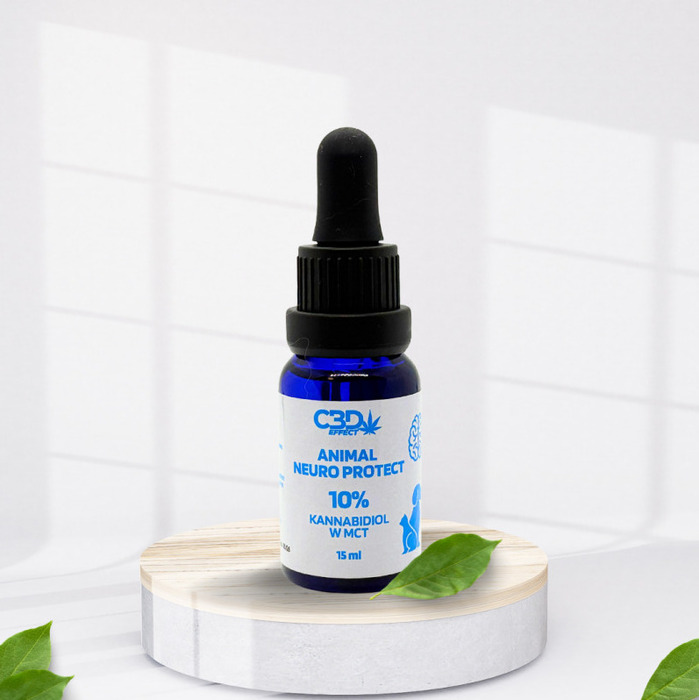CBD олія для тварин 10% ✓ Купити в Україні!